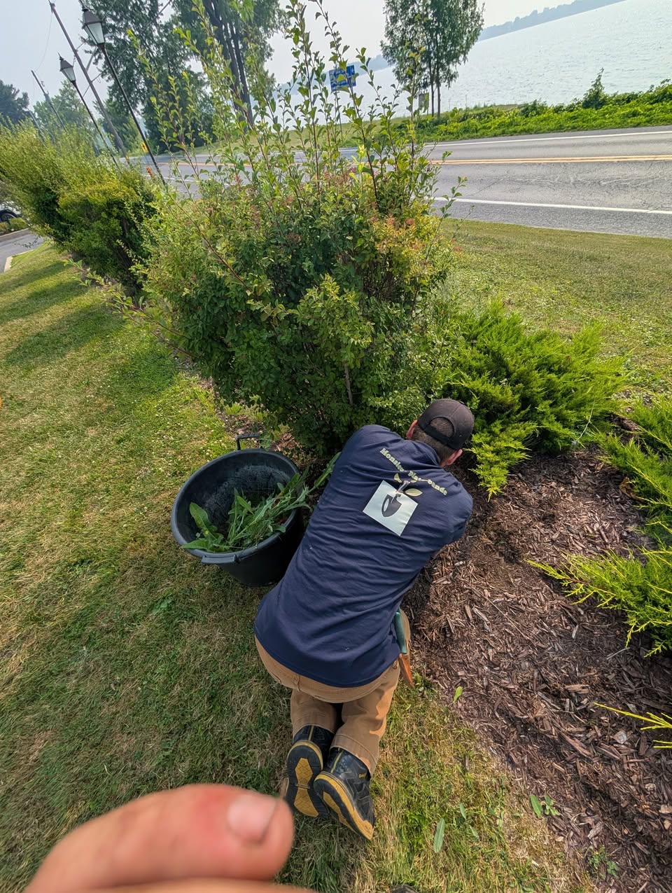Paysagiste taillant un buisson en bordure de route.