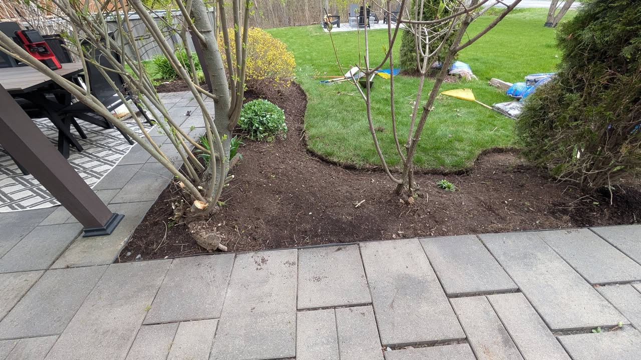 Jardin arrière en préparation avec terre fraîche.