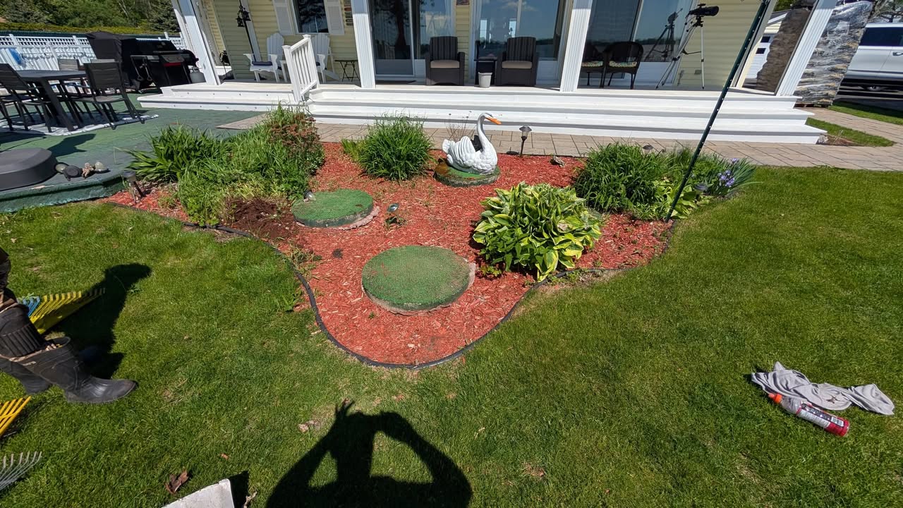 Coin d'eau aménagé avec paillis et plantes.